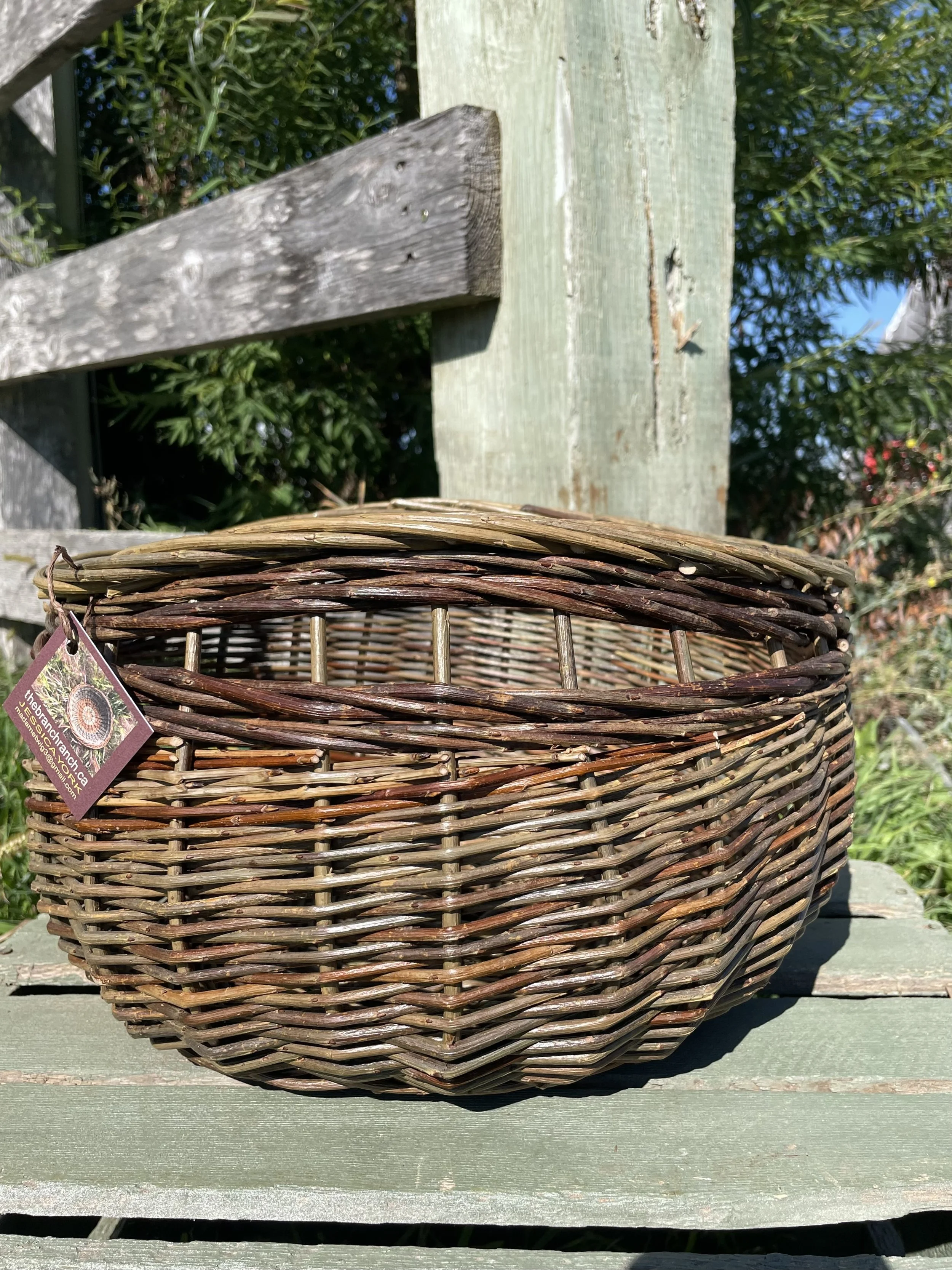 Store — The Branch Ranch